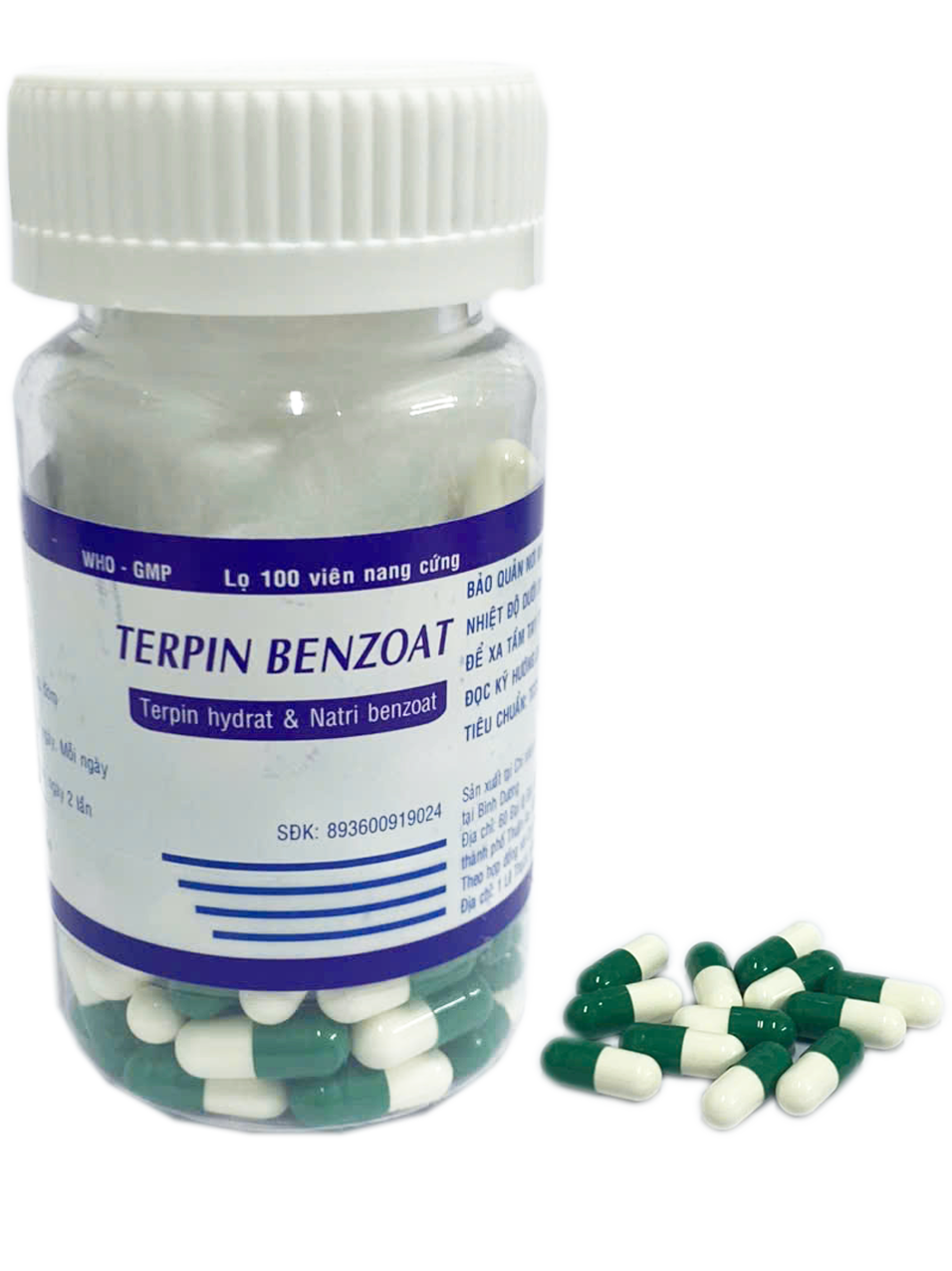 TERPIN BENZOATE Thành Nam (Nang, C/100v)